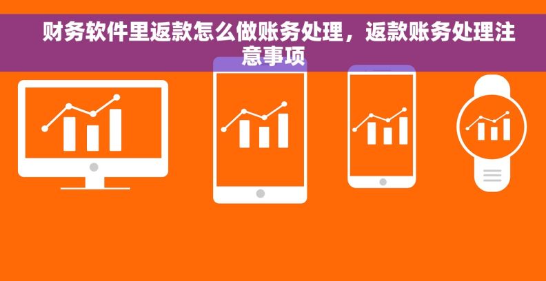   财务软件里返款怎么做账务处理，返款账务处理注意事项