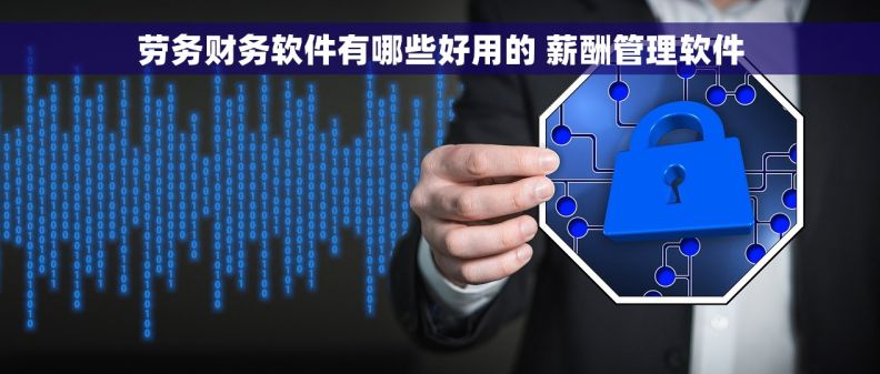 劳务财务软件有哪些好用的 薪酬管理软件
