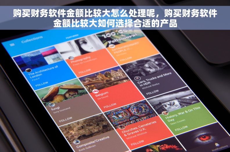 购买财务软件金额比较大怎么处理呢，购买财务软件金额比较大如何选择合适的产品