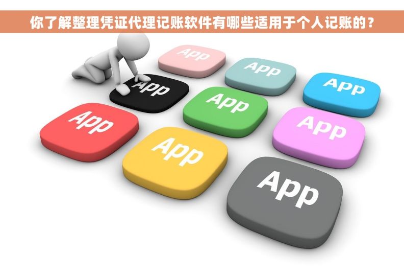 你了解整理凭证代理记账软件有哪些适用于个人记账的？