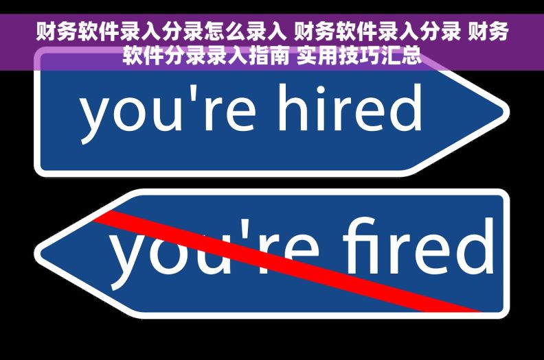 财务软件录入分录怎么录入 财务软件录入分录 财务软件分录录入指南 实用技巧汇总