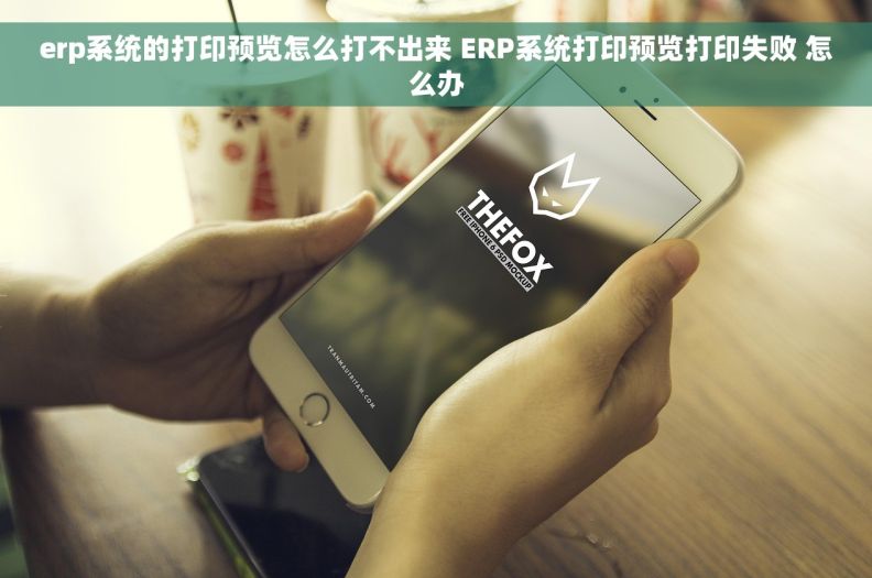 erp系统的打印预览怎么打不出来 ERP系统打印预览打印失败 怎么办