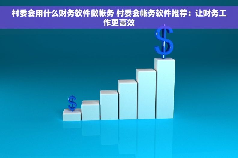 村委会用什么财务软件做帐务 村委会帐务软件推荐：让财务工作更高效