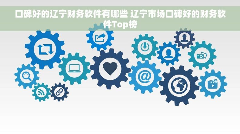 口碑好的辽宁财务软件有哪些 辽宁市场口碑好的财务软件Top榜