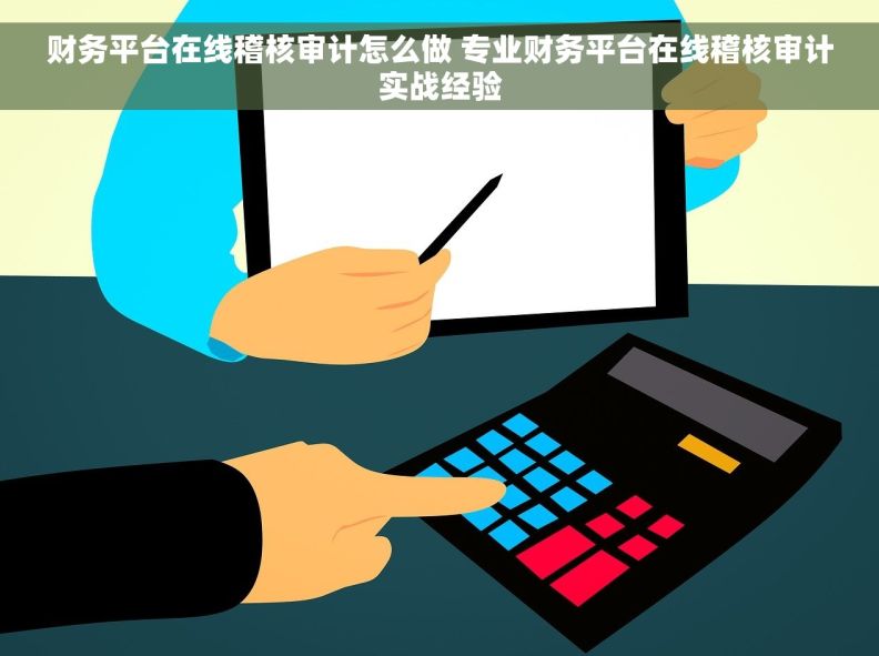 财务平台在线稽核审计怎么做 专业财务平台在线稽核审计实战经验