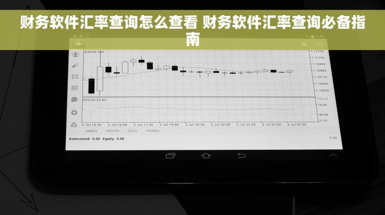 财务软件汇率查询怎么查看 财务软件汇率查询必备指南