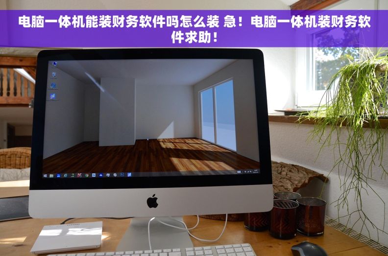 电脑一体机能装财务软件吗怎么装 急！电脑一体机装财务软件求助！