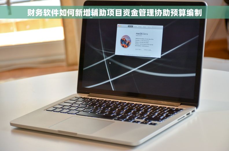 财务软件如何新增辅助项目资金管理协助预算编制