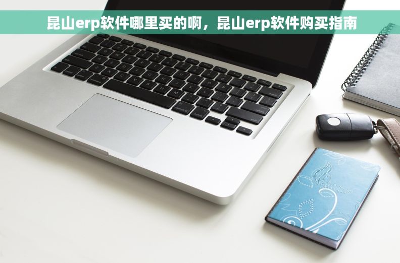  昆山erp软件哪里买的啊，昆山erp软件购买指南