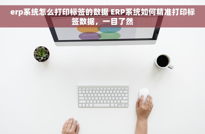 erp系统怎么打印标签的数据 ERP系统如何精准打印标签数据，一目了然
