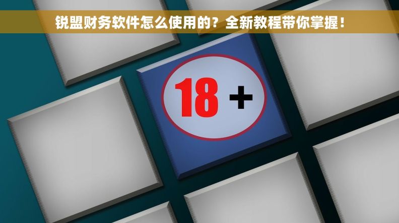 锐盟财务软件怎么使用的？全新教程带你掌握！