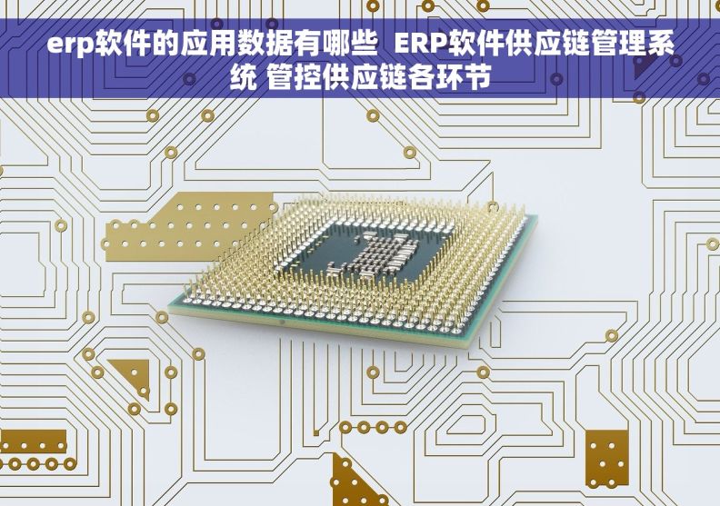 erp软件的应用数据有哪些  ERP软件供应链管理系统 管控供应链各环节