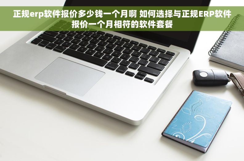 正规erp软件报价多少钱一个月啊 如何选择与正规ERP软件报价一个月相符的软件套餐