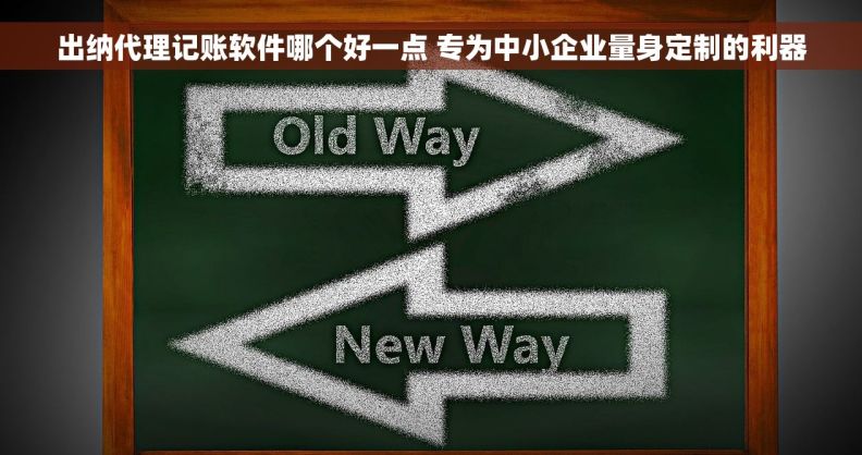 出纳代理记账软件哪个好一点 专为中小企业量身定制的利器