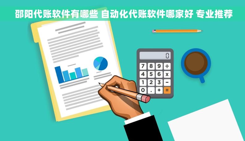  邵阳代账软件有哪些 自动化代账软件哪家好 专业推荐