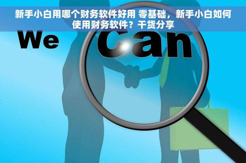 新手小白用哪个财务软件好用 零基础，新手小白如何使用财务软件？干货分享