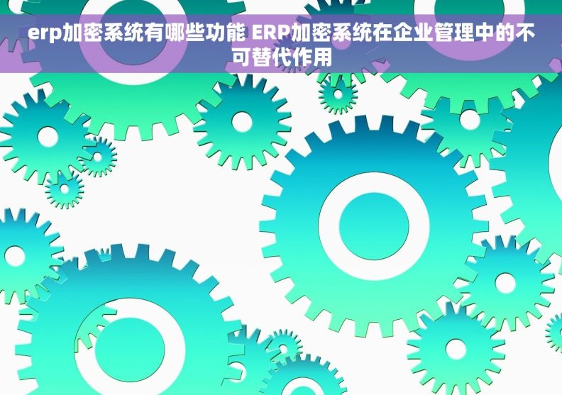erp加密系统有哪些功能 ERP加密系统在企业管理中的不可替代作用