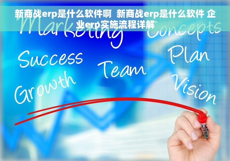 新商战erp是什么软件啊  新商战erp是什么软件 企业erp实施流程详解