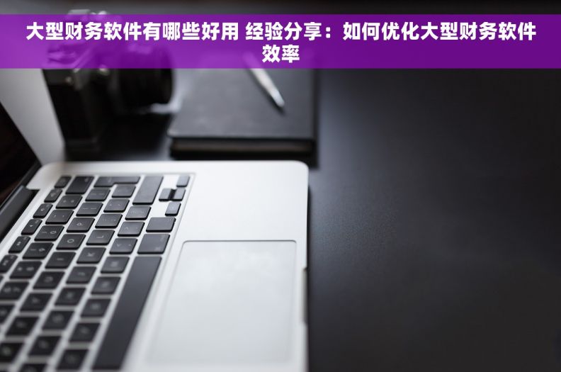 大型财务软件有哪些好用 经验分享：如何优化大型财务软件效率