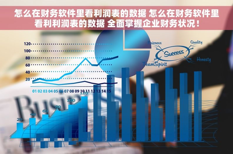 怎么在财务软件里看利润表的数据 怎么在财务软件里看利利润表的数据 全面掌握企业财务状况！