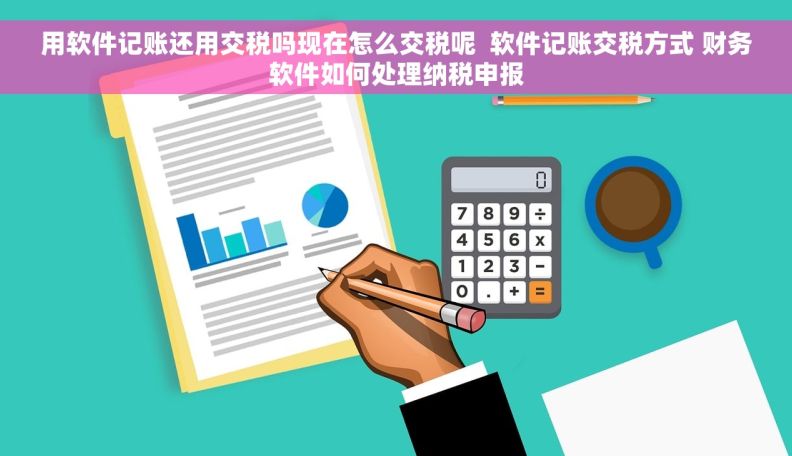 用软件记账还用交税吗现在怎么交税呢  软件记账交税方式 财务软件如何处理纳税申报