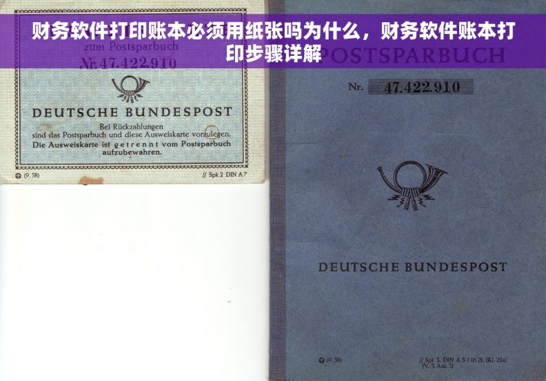 财务软件打印账本必须用纸张吗为什么，财务软件账本打印步骤详解