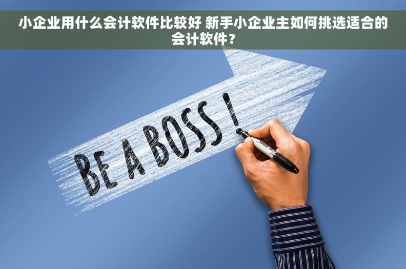 小企业用什么会计软件比较好 新手小企业主如何挑选适合的会计软件？