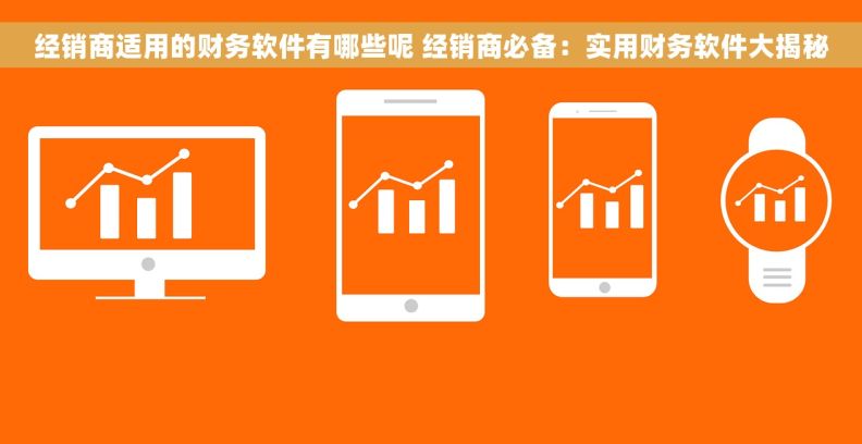 经销商适用的财务软件有哪些呢 经销商必备：实用财务软件大揭秘