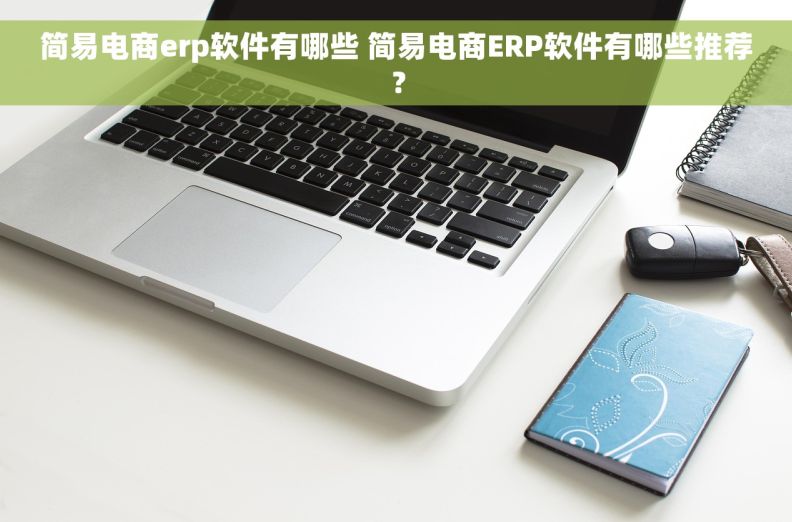 简易电商erp软件有哪些 简易电商ERP软件有哪些推荐？