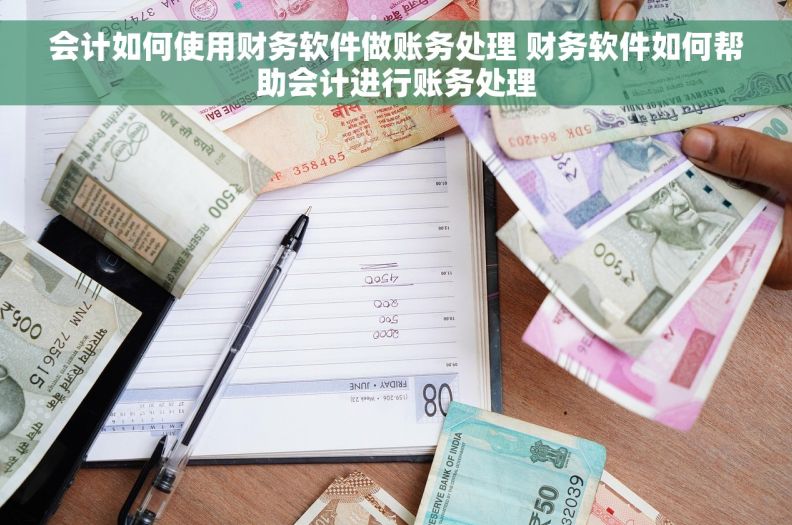 会计如何使用财务软件做账务处理 财务软件如何帮助会计进行账务处理