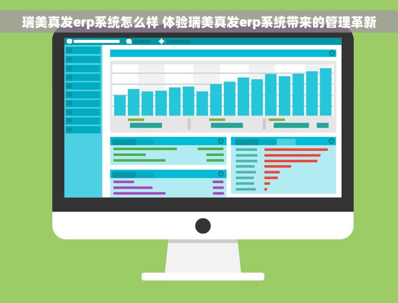 瑞美真发erp系统怎么样 体验瑞美真发erp系统带来的管理革新