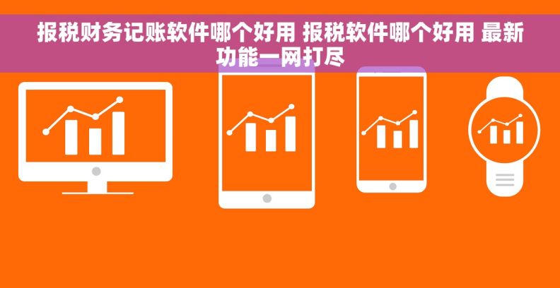 报税财务记账软件哪个好用 报税软件哪个好用 最新功能一网打尽