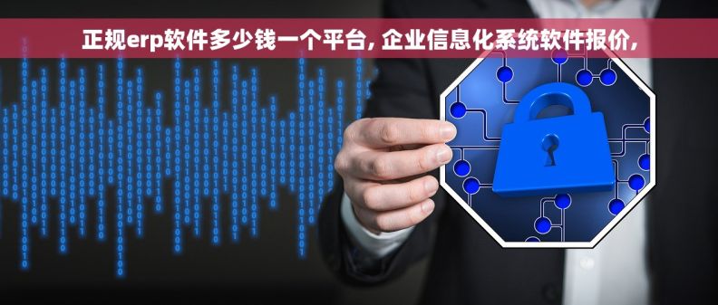 正规erp软件多少钱一个平台, 企业信息化系统软件报价,