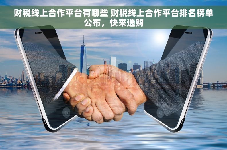 财税线上合作平台有哪些 财税线上合作平台排名榜单公布，快来选购