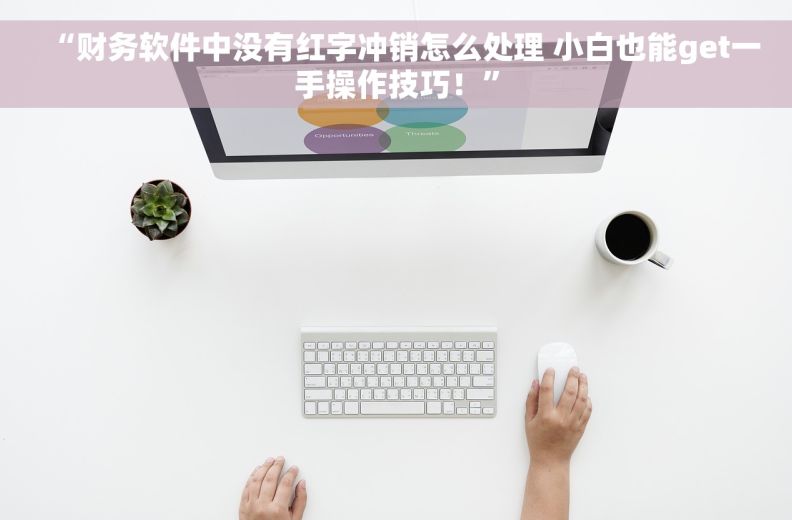 “财务软件中没有红字冲销怎么处理 小白也能get一手操作技巧！”