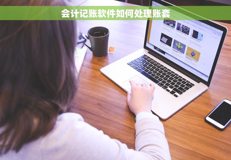 会计记账软件如何处理账套