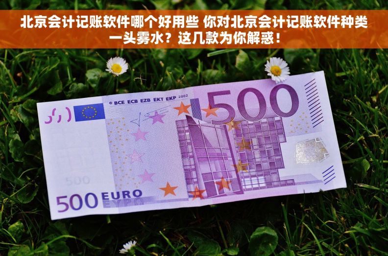 北京会计记账软件哪个好用些 你对北京会计记账软件种类一头雾水？这几款为你解惑！