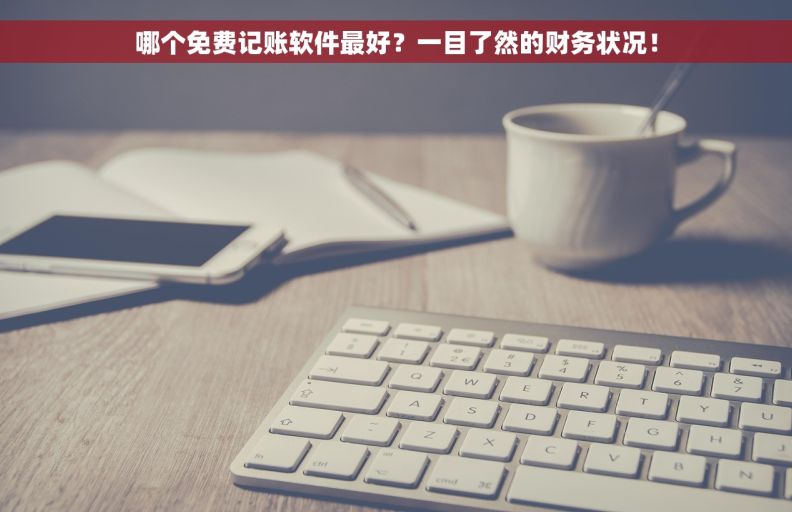 哪个免费记账软件最好？一目了然的财务状况！