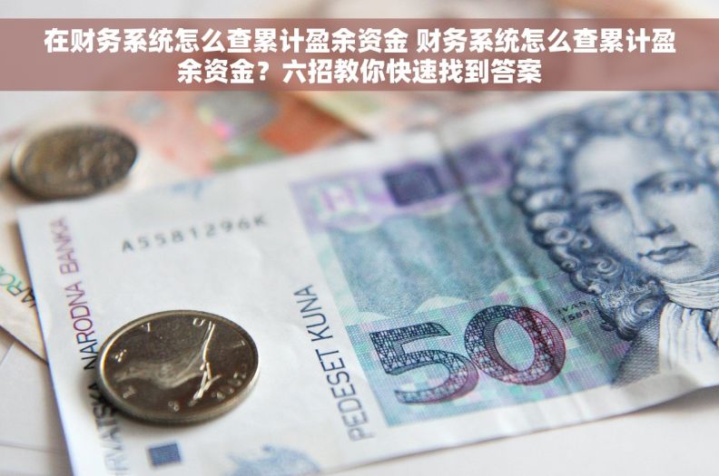在财务系统怎么查累计盈余资金 财务系统怎么查累计盈余资金？六招教你快速找到答案