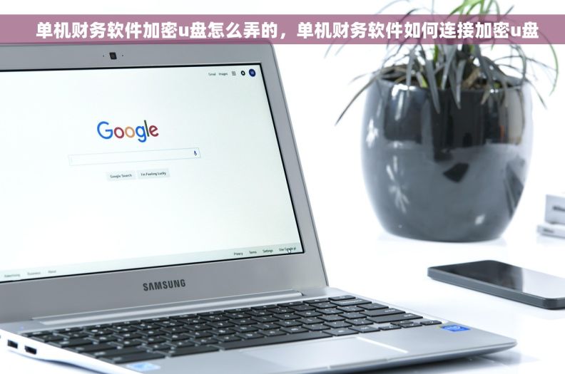   单机财务软件加密u盘怎么弄的，单机财务软件如何连接加密u盘