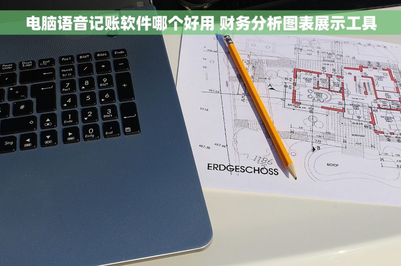 电脑语音记账软件哪个好用 财务分析图表展示工具