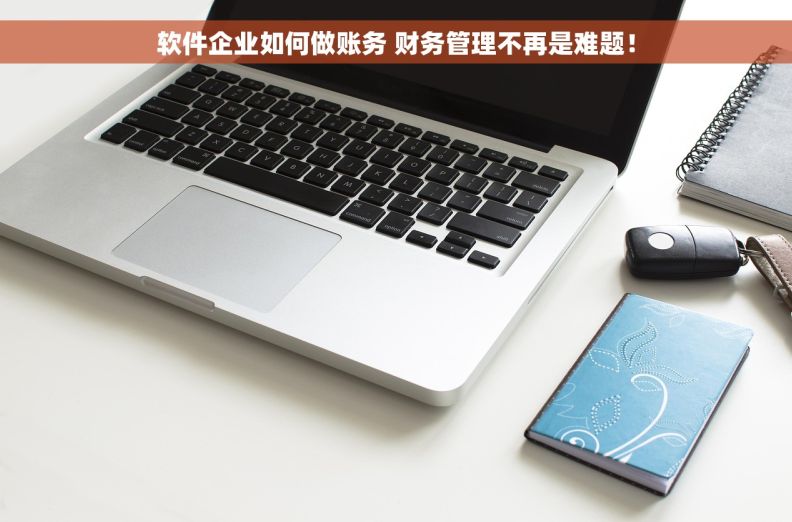 软件企业如何做账务 财务管理不再是难题！