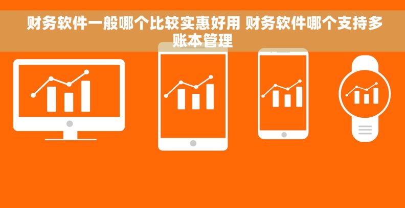  财务软件一般哪个比较实惠好用 财务软件哪个支持多账本管理