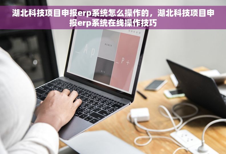 湖北科技项目申报erp系统怎么操作的，湖北科技项目申报erp系统在线操作技巧