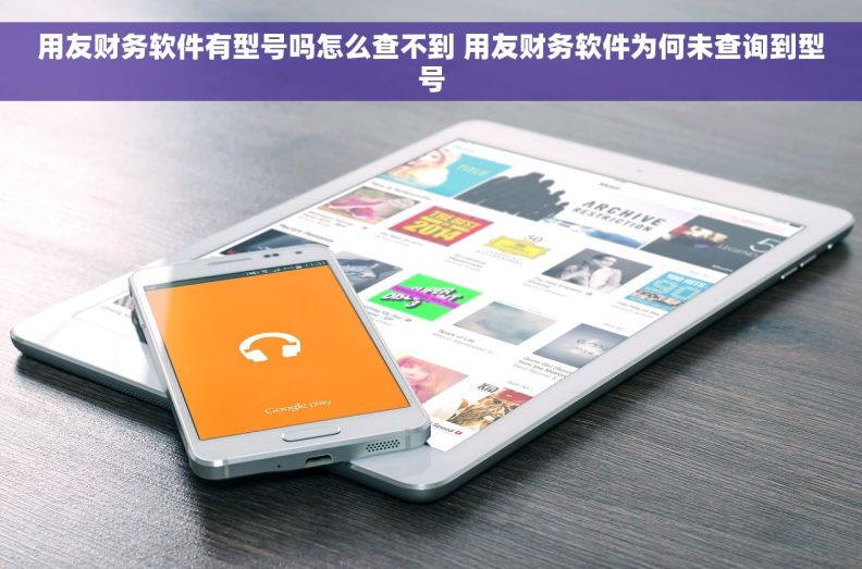 用友财务软件有型号吗怎么查不到 用友财务软件为何未查询到型号