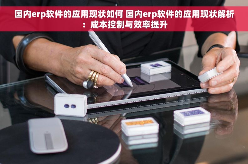 国内erp软件的应用现状如何 国内erp软件的应用现状解析：成本控制与效率提升