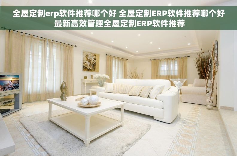 全屋定制erp软件推荐哪个好 全屋定制ERP软件推荐哪个好 最新高效管理全屋定制ERP软件推荐