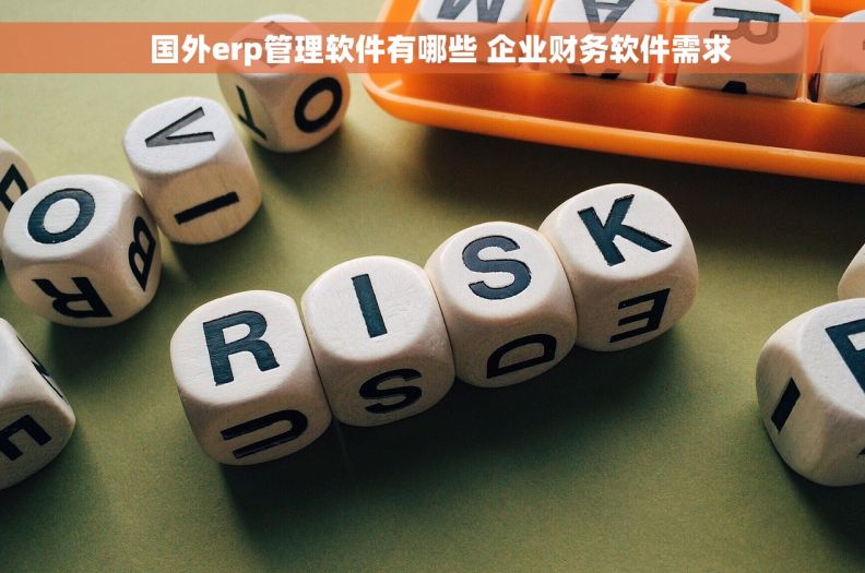   国外erp管理软件有哪些 企业财务软件需求