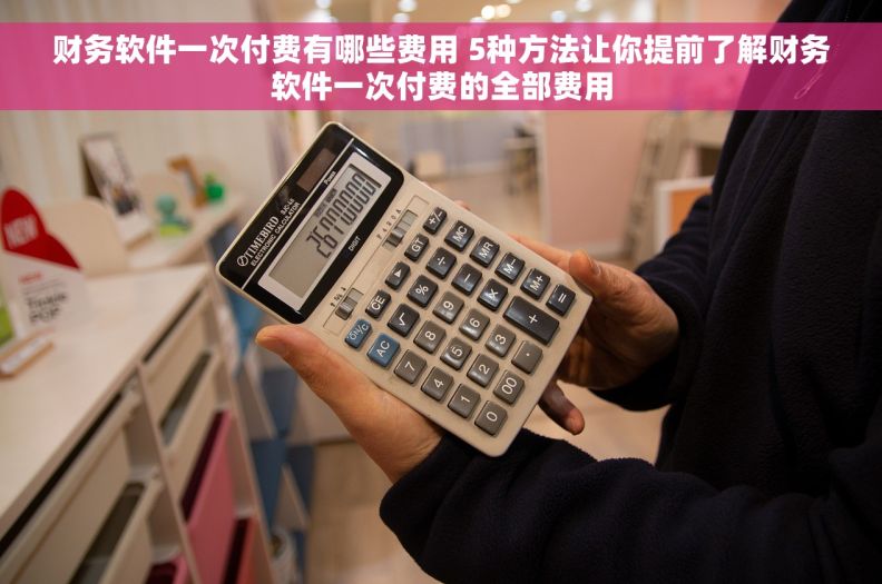 财务软件一次付费有哪些费用 5种方法让你提前了解财务软件一次付费的全部费用
