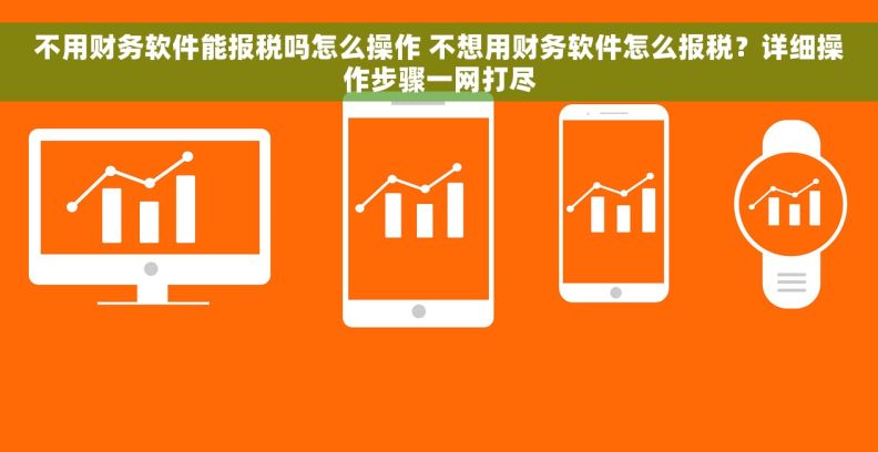 不用财务软件能报税吗怎么操作 不想用财务软件怎么报税？详细操作步骤一网打尽